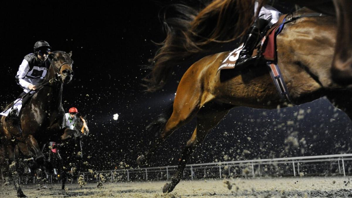 Horse racing at Kempton